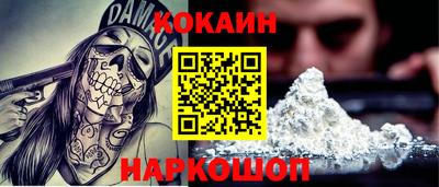 тгк Гай