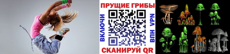 Псилоцибиновые грибы Psilocybe  Калуга 
