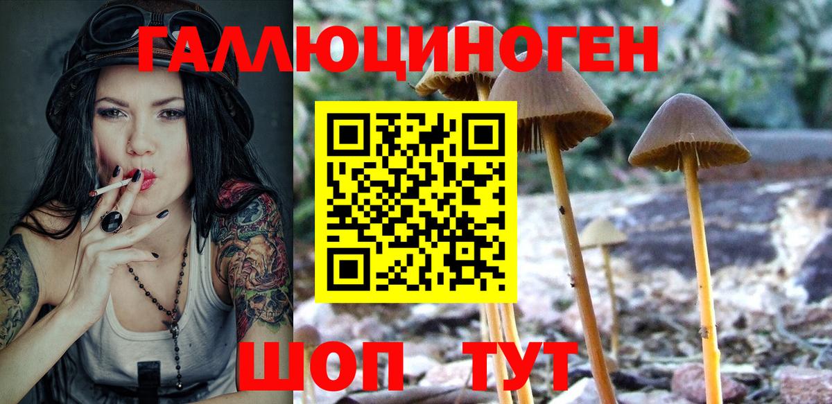 Псилоцибиновые грибы мицелий Калуга
