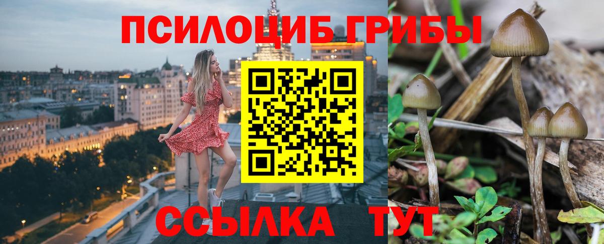 Калуга  Галлюциногенные грибы мухоморы  Галлюциногенные грибы Psilocybine cubensis  даркнет сайт  Вход с VPN 