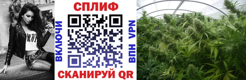 купить цена Калуга Шишки марихуана планчик